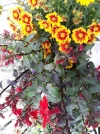 20190802_112815.webp