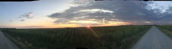 mms_20190804_204935.webp