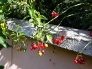 20190808_104901.webp