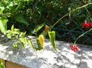 20190808_104914.webp