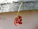 20190808_104926.webp
