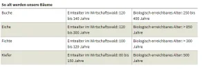 Opera Momentaufnahme_2019-08-08_183512_www.nabu.de.webp