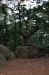 Hünengrab1.webp