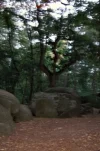 Hünengrab2.webp