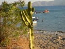 R175.webp