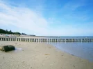 P8110011 (2).webp