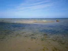P8110028 (3).webp