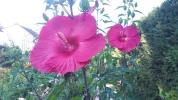 20190811_171855.webp