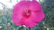20190811_171843.webp