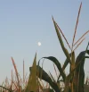 IMG_2892 (2).webp