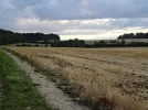 entenhof (25).webp
