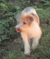 IMG_2913 (3).webp