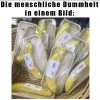 Bananen in Plastik.webp