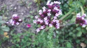 20190811_172138.webp