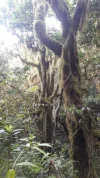 20190612_065727.webp