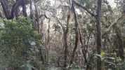 20190612_065732.webp