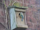 DSCN0355.webp