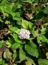 20190808_145103 1.webp
