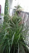 20190815_130523.webp
