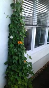 20190816_125934.webp