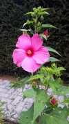 20190817_165447.webp