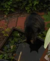 DSCN2377.webp
