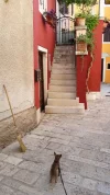 20190815_154235 Mocca Treppe.webp
