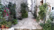 20190816_173650 Blumen Bale Valle.webp