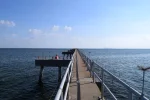 DSC_3652.webp