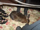 DSCN2382.webp