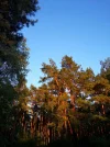 IMG_20190818_215403.webp