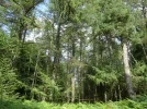 20_8 (87).webp