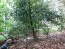 20_8 (67).webp