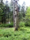 20_8 (71).webp