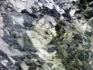 20_8 (46).webp
