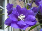 DSCN9727.webp