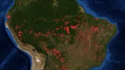modis.webp