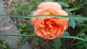 20190823_105513.webp