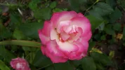 20190823_105529.webp