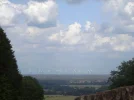 20_8 (107).webp