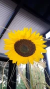 20190825_075625.webp