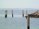P8250626 (2).webp