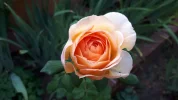 20190826_072332.webp