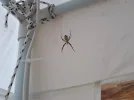 20190824_130100.webp