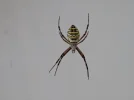 20190824_130143.webp