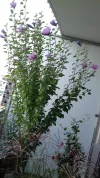 20190828_100927.webp