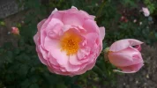 20190828_105306.webp