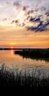IMG_20190829_234521.webp
