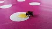20180517_190845.webp