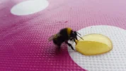 20180517_190642.webp